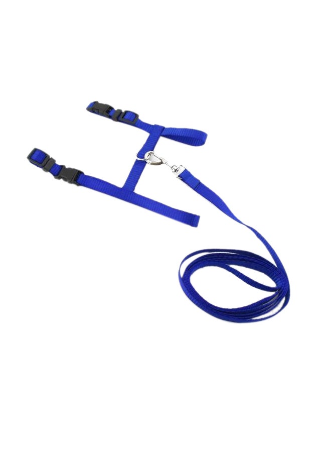 طوق مقود وحزام قابل للتعديل أسود/أزرق